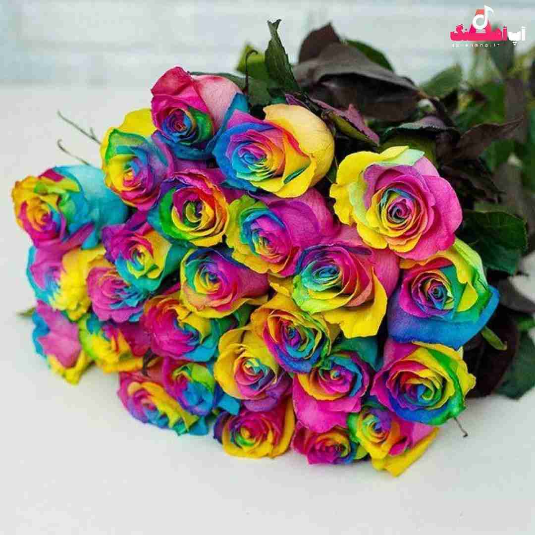 دانلود آهنگ تورو به خدا خودتو زیبا نکن خوشگل و طناز واسه ما نکن