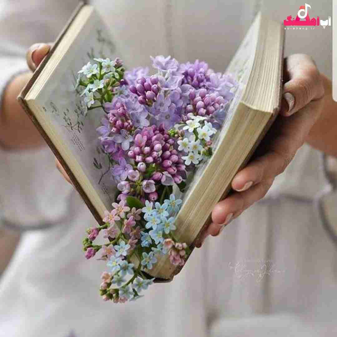 دانلود آهنگ خارجی نیلز چک هر چک فیس چک