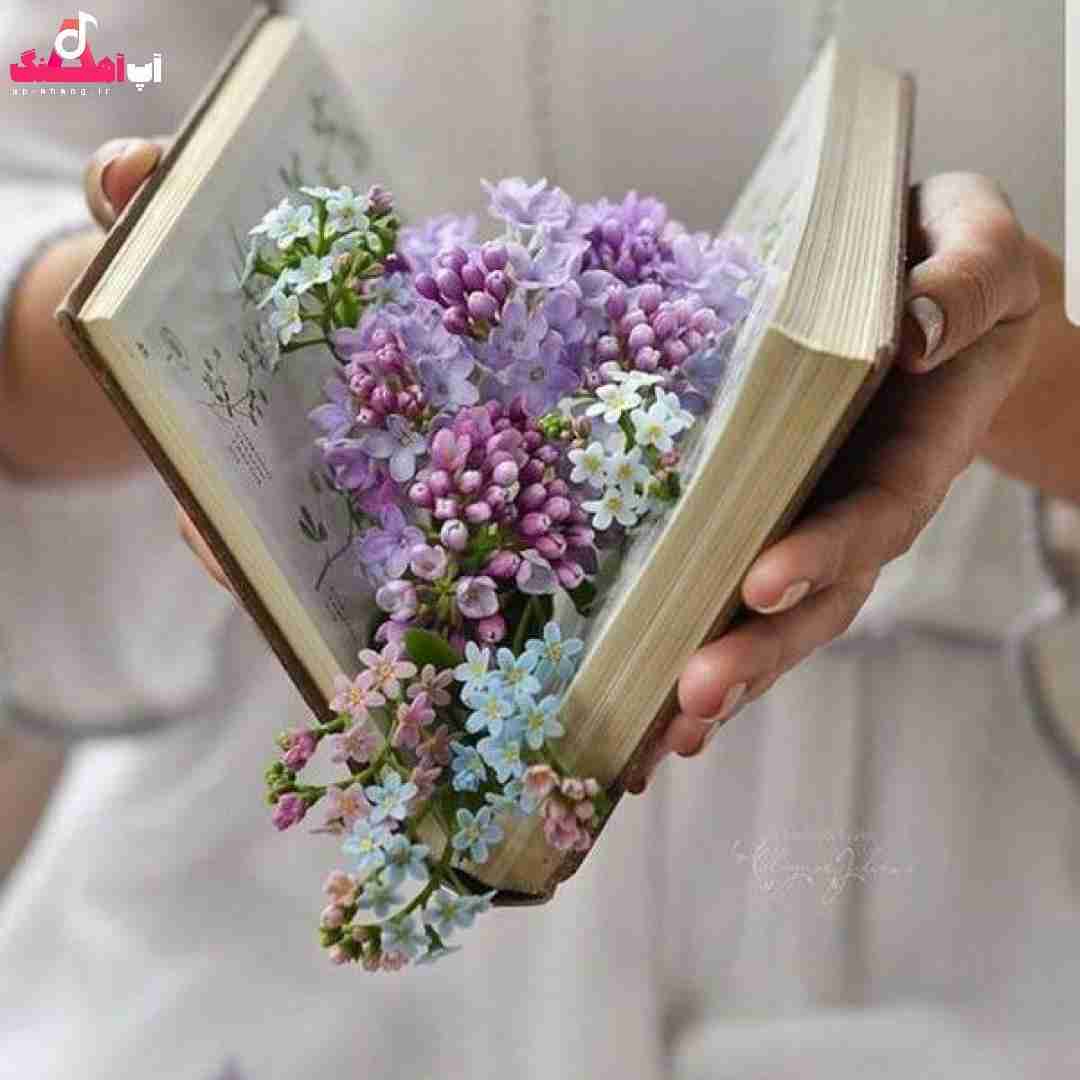 دانلود آهنگ یه خشم کهنه زیر پوست زمان یه هروئین لخته تو مغز همه