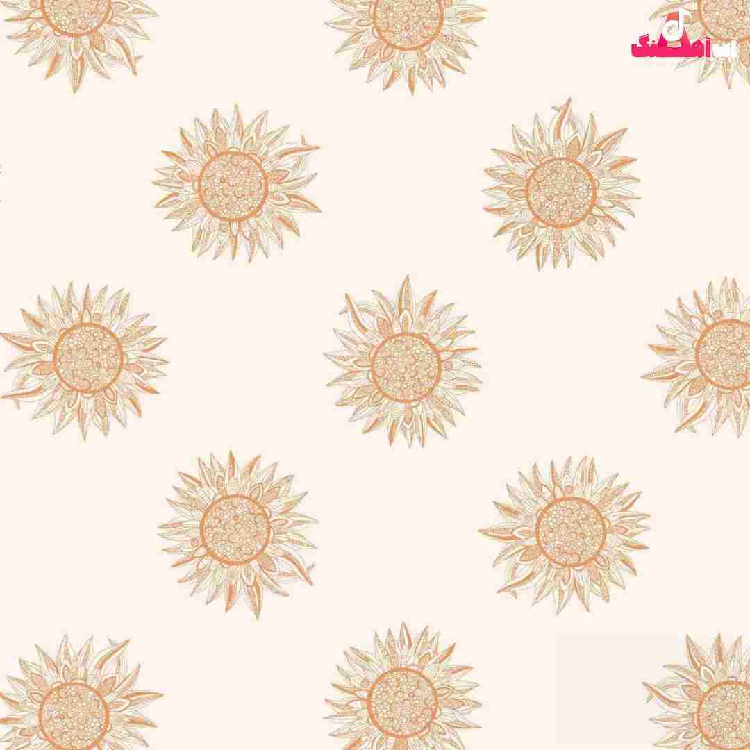 دانلود آهنگ الو چرا صدات بدتر میاد پاشو بیا گفتم