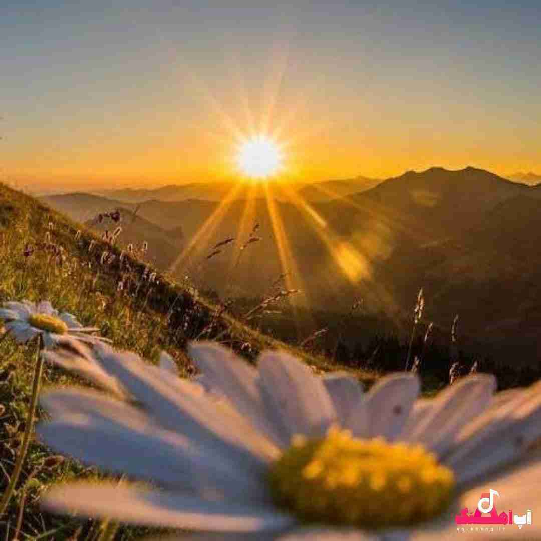 دانلود آهنگ از من تو مگر خطایی دیدی سوی دیگران ندایی دیدی