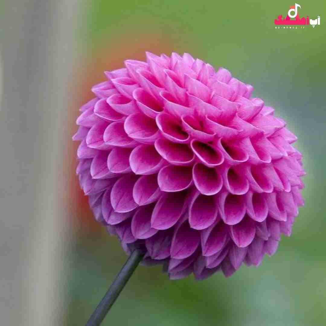 دانلود آهنگ بسم الله واضح نیست اسمت که به تته پتته میوفتی