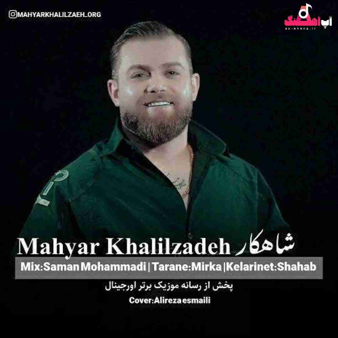 مهیار خلیل زاده شاهکار