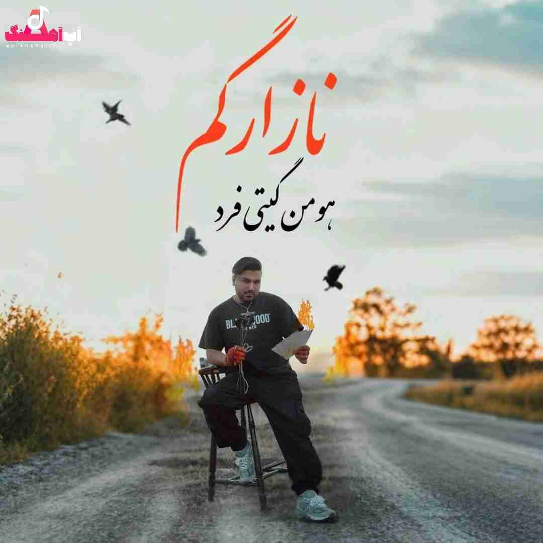 هومن گیتی فرد نازارگم