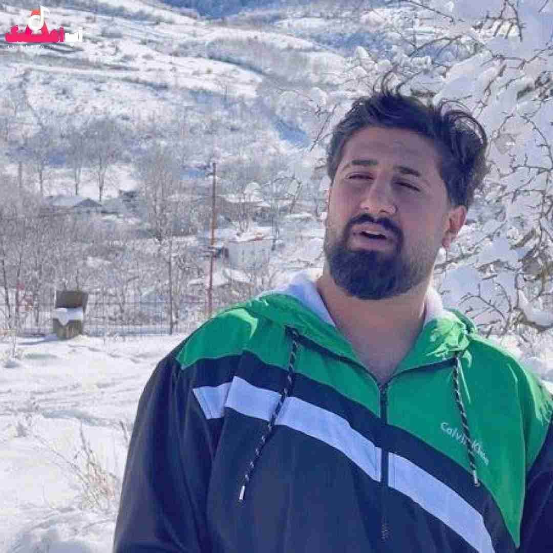 علی حمیدی نشور