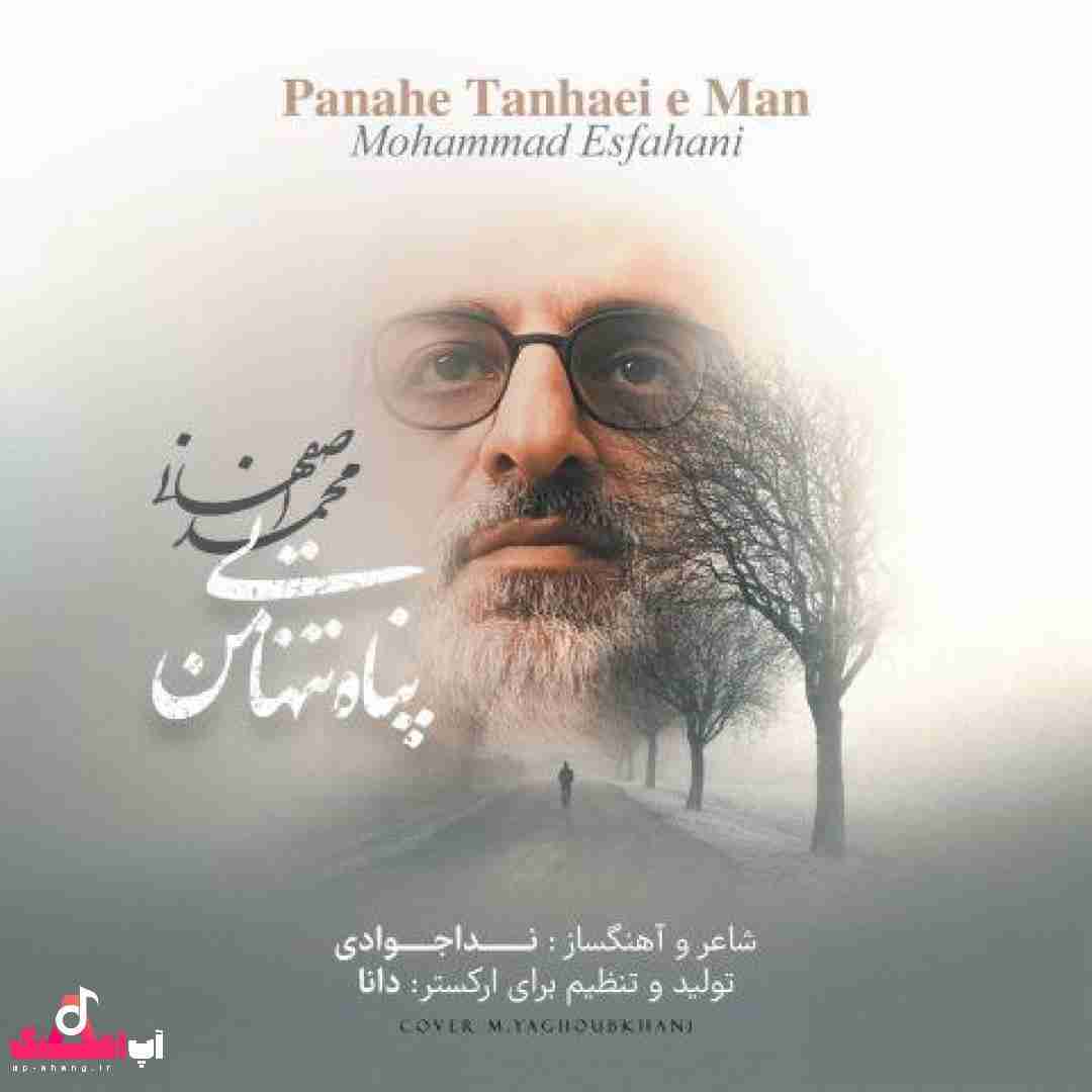 دانلود آهنگ پناه تنهایی من محمد اصفهانی