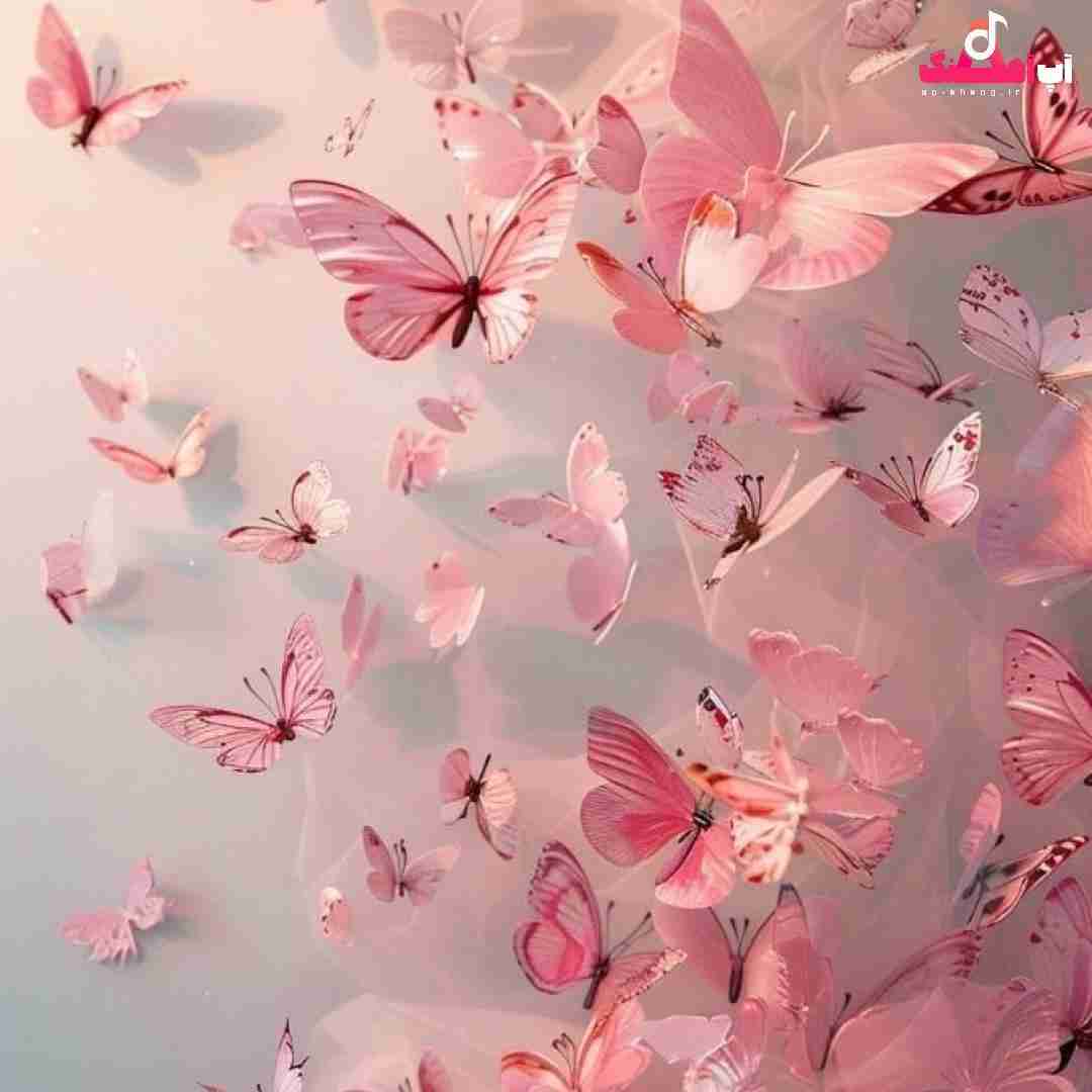 دانلود آهنگ وسطم کسی نی بغلم حلا حلا حلا