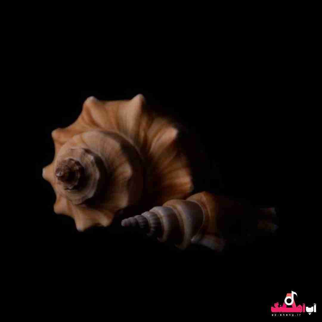 دانلود آهنگ دلم دریاست بذار هر چی میخواد برداره