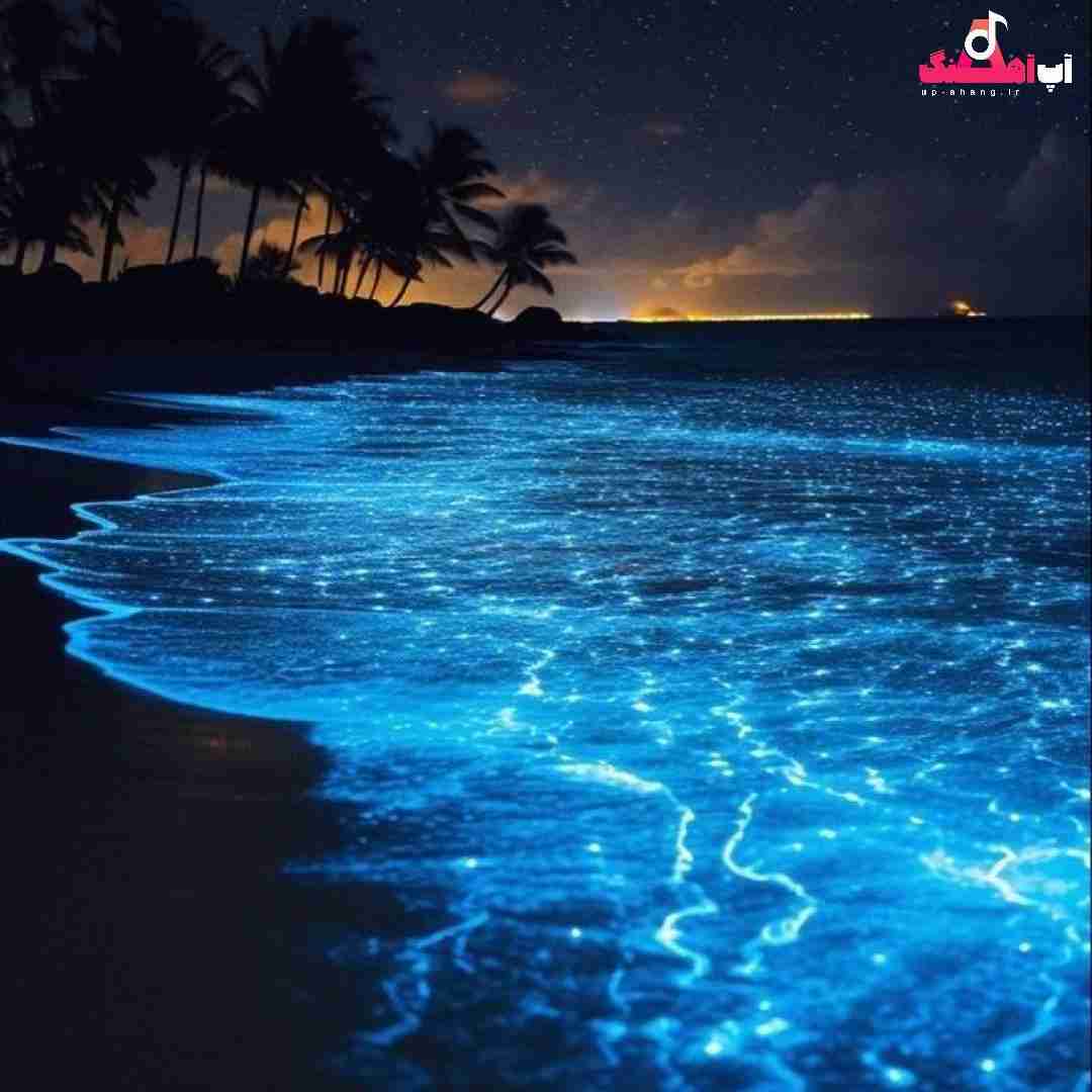 دانلود آهنگ عربی آرزو میکنم فراموشت کنم همینطور که تو یک روز