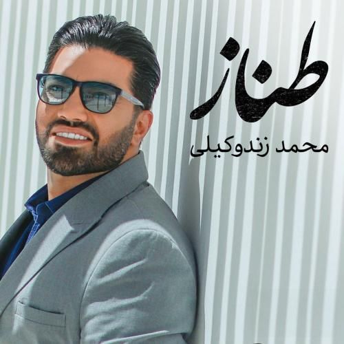 دانلود آهنگ طناز محمد زندوکیلی