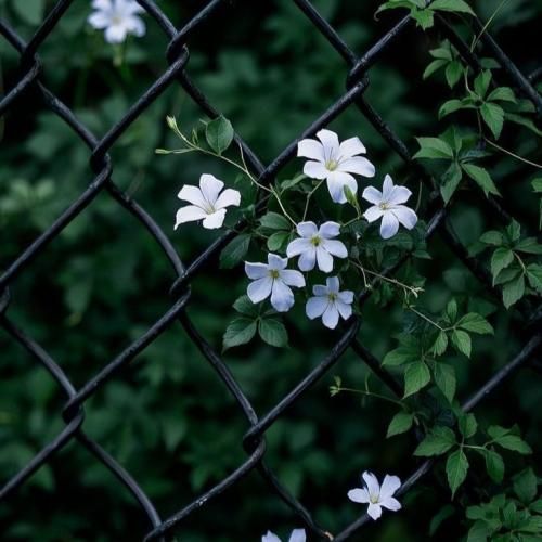 دانلود آهنگ خونه پر از رنج سکوت وای دلم تنگه