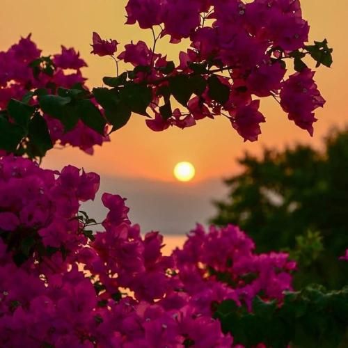 دانلود آهنگ جان لیلی فاطمه عطایی