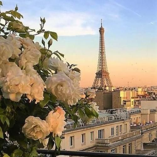 دانلود آهنگ دیدی ای دل چه زود اون که دنیای تو بود