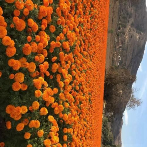 دانلود آهنگ وقتی دپرس یه گوشم وقتی اشتیاق ندارم