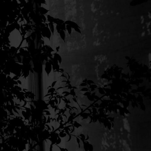 دانلود آهنگ تاکسی سیمگه