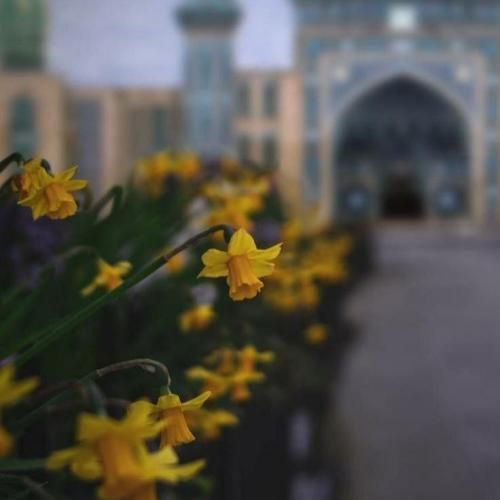 دانلود آهنگ عمری اسیرم لعنت به دریا کشتی ندارم لعنت به سرما