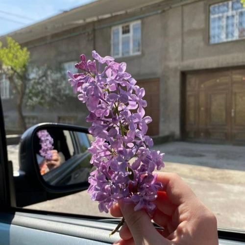 دانلود آهنگ تمومه دیگه همه چی تمومه دیگه نداریم ما همو