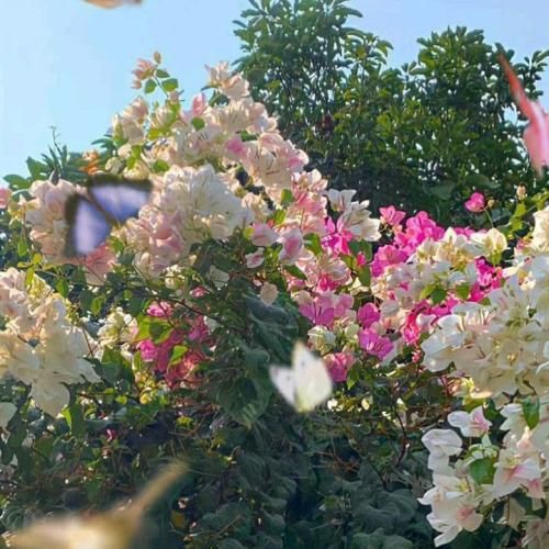 دانلود آهنگ حتی اگه بشکنه قلبم با تو می ارزه نرم