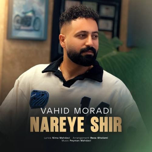 دانلود آهنگ نعره ی شیر وحید مرادی