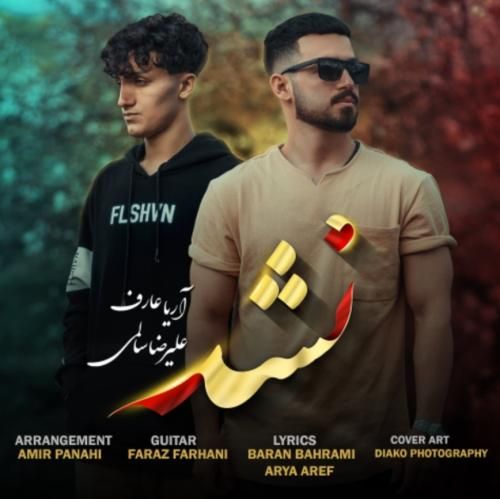 دانلود آهنگ نشد علیرضا سالمی