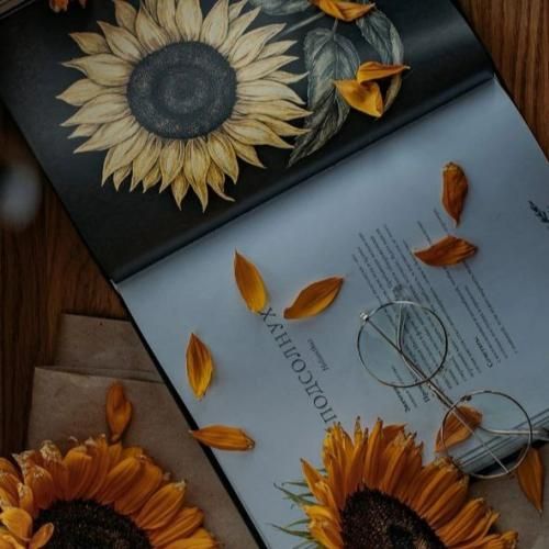 دانلود آهنگ بنز نمیرسه به تو کلاسش پوست تنت به چشمم