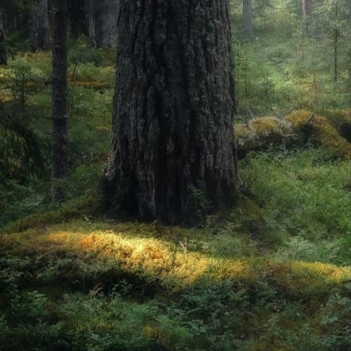 دانلود آهنگ حالا من موندمو این ویرونه ها پر خشم و کینه ی