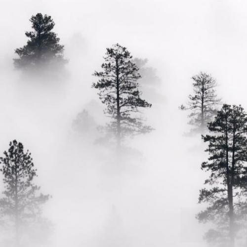 دانلود آهنگ بیتاب توام فاطمه رحمانی