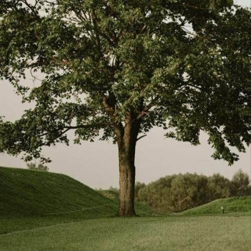 دانلود آهنگ وقتی کسی نیست حرفامو بشنوه فکر میکنم