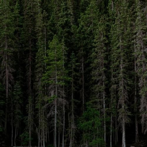 دانلود آهنگ دل بده حال میده رفاقت با ما دروغ میگن