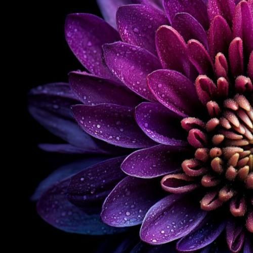 دانلود آهنگ واسه آخرین بار بود یکیو راه دادم تو قلبم