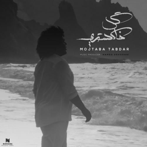 دانلود آهنگ گل خاکستری مجتبی تابدار