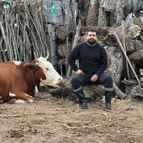 دانلود آهنگ بمیرم یحیی اسکو