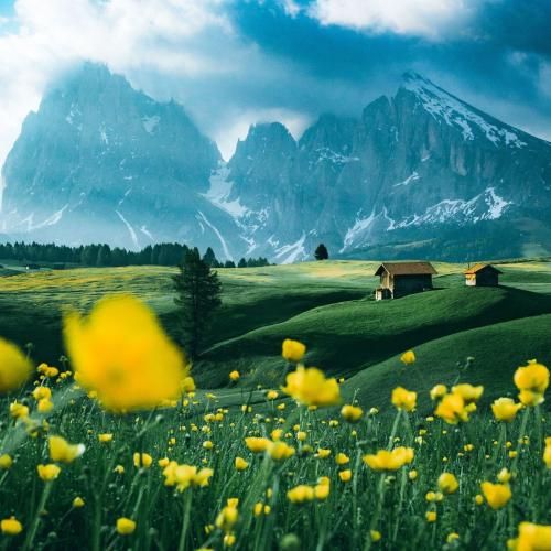 دانلود آهنگ روانم سوی ساحل دلم شد بر تو مایل