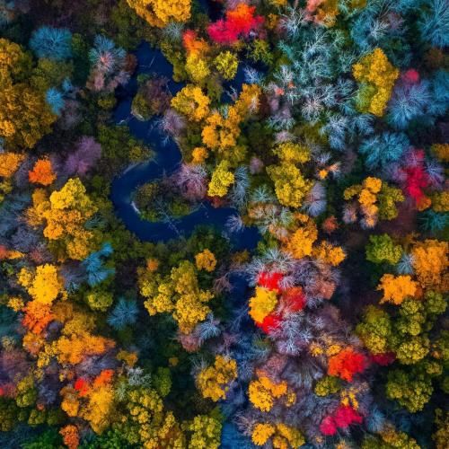 دانلود آهنگ میخوان کاردیم کنن شنگول و منگول تو تهش میتونی