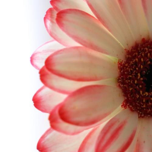 دانلود آهنگ عینک ری بن اصلم هرچی دارم مال تو مهسا خسروانی