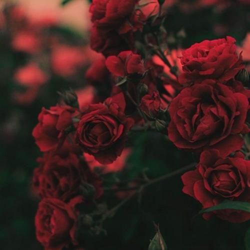 دانلود آهنگ آخه با من الکی میکنی کل کل که چی فاز مسابقست