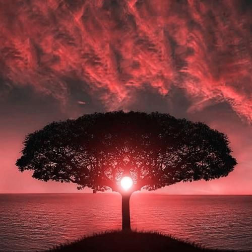 دانلود آهنگ دور دنیارم بگردم بازم مثل تو نیست تا من