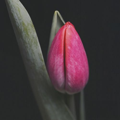 دانلود آهنگ قیدتو زدم رفتم عین تو منم مستم