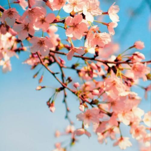 دانلود آهنگ نفس بیب من نیست استیبل میده خیابون استرس