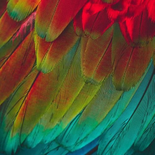 دانلود آهنگ اونی که دوسش داشتمو رفت روحش حالت تو توعه