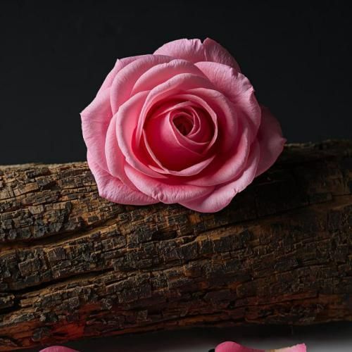 دانلود آهنگ اندازه شاهنامس بدبختیام بنزین ریختم رو خودم