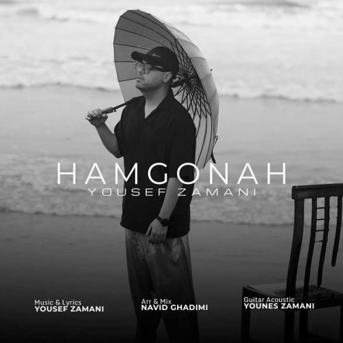 دانلود آهنگ همگناه یوسف زمانی