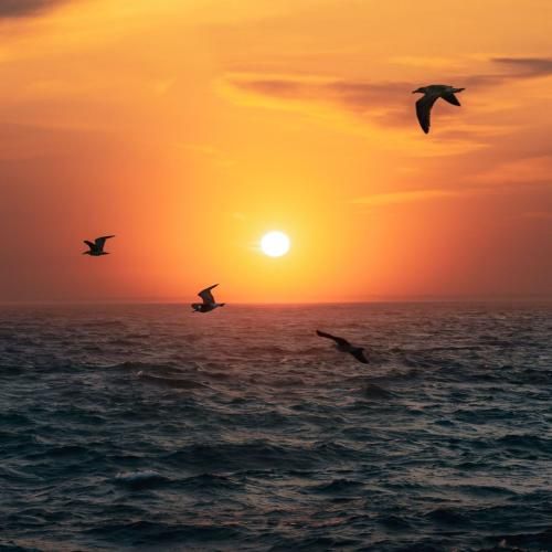 دانلود آهنگ مرا چشمیش خون افشان این آسمون سالهاست