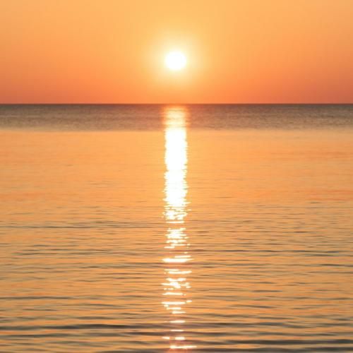 دانلود آهنگ دافه قر تو کمرش فراوونه نمیدونه کجا بریزه