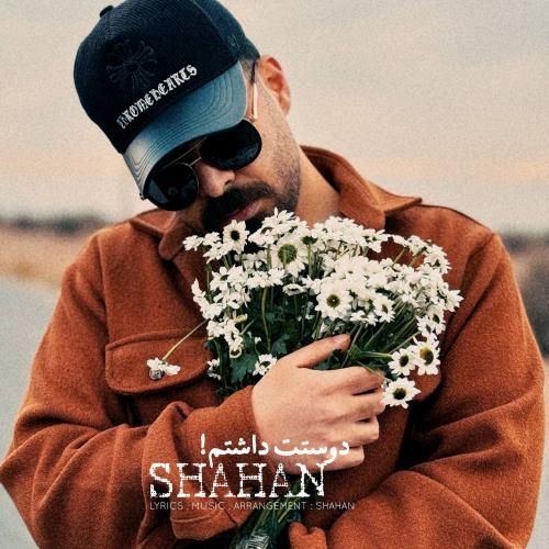 دانلود آهنگ دوستت داشتم شاهان