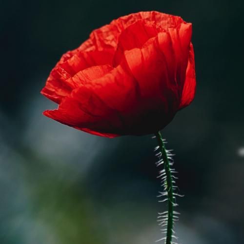 دانلود آهنگ عشقمون نیست تکرار شدنی انقد مچیم اصلا انگار