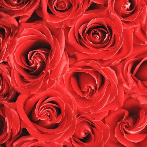 دانلود آهنگ سراب سنا برزنجه