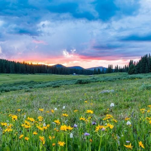 دانلود آهنگ ای دلبر ای دلبر له دل من تویی