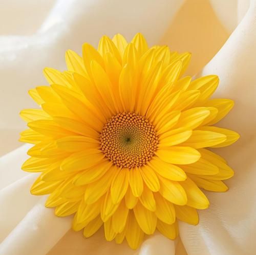 دانلود آهنگ نسخ یه نفرم که منو درکم کنه نه با دیدن مشکلات