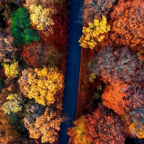 دانلود آهنگ چشات مثل صدف داره مروارید تو مال خودم بودی